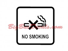 NO SMOKING Decals (2 pcs) (G3)